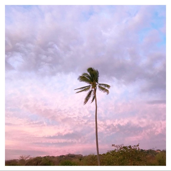 Meet your Posher, Jaclyn - Picture 1 of 1